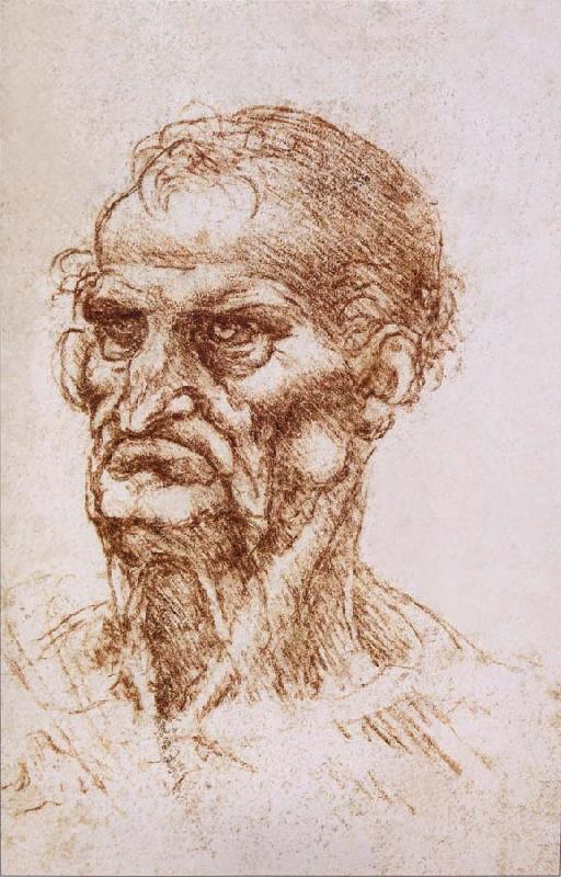 LEONARDO da Vinci Study of an old man oil painting picture